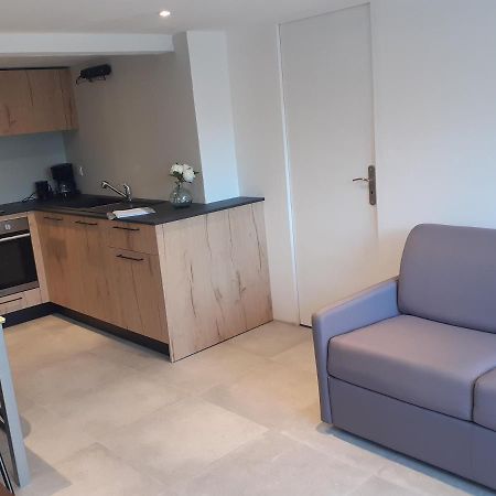 Logement Entier 4 Personnes Villefranche Sur Saone Exterior foto